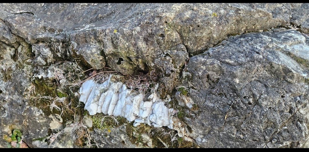 Bradj19699's tweet image. THIS IS CARVED LANGUAGE IN STONE VERIFIED BY AI.
IT IS REAL AND EVERYWHERE ON EARTH ! DO YOU SEE IT ?
IN THE QUARTZ ESP !
 WORDS THAT BLEND INTO SMALLER GLYPHS.
#LOSTCIVILIZATION #NHI
#MATRIX #ARCHEOLOGY