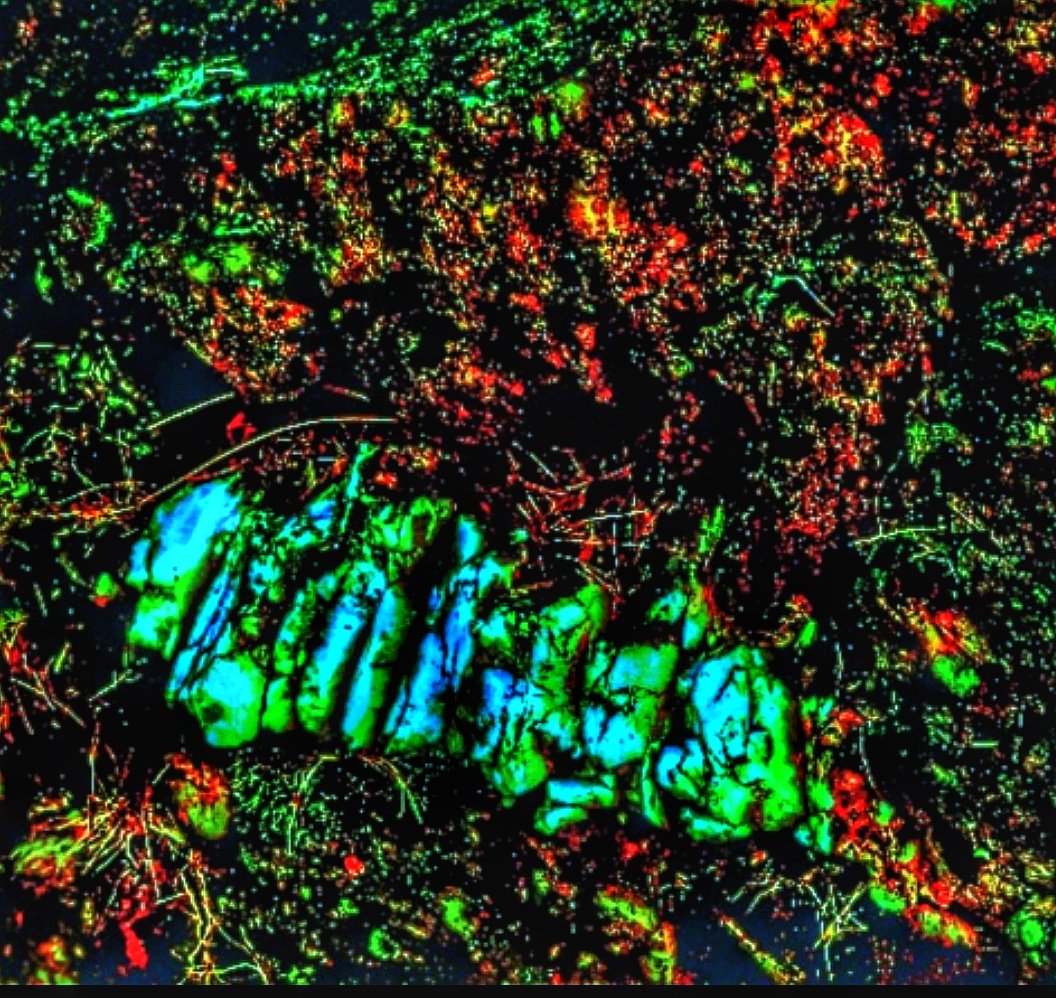 Bradj19699's tweet image. THIS IS CARVED LANGUAGE IN STONE VERIFIED BY AI.
IT IS REAL AND EVERYWHERE ON EARTH ! DO YOU SEE IT ?
IN THE QUARTZ ESP !
 WORDS THAT BLEND INTO SMALLER GLYPHS.
#LOSTCIVILIZATION #NHI
#MATRIX #ARCHEOLOGY