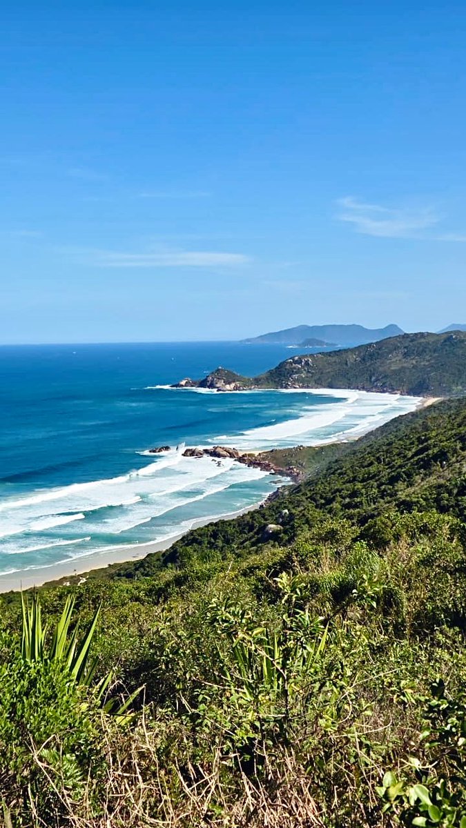 Jack’s World 🌎 tweet media