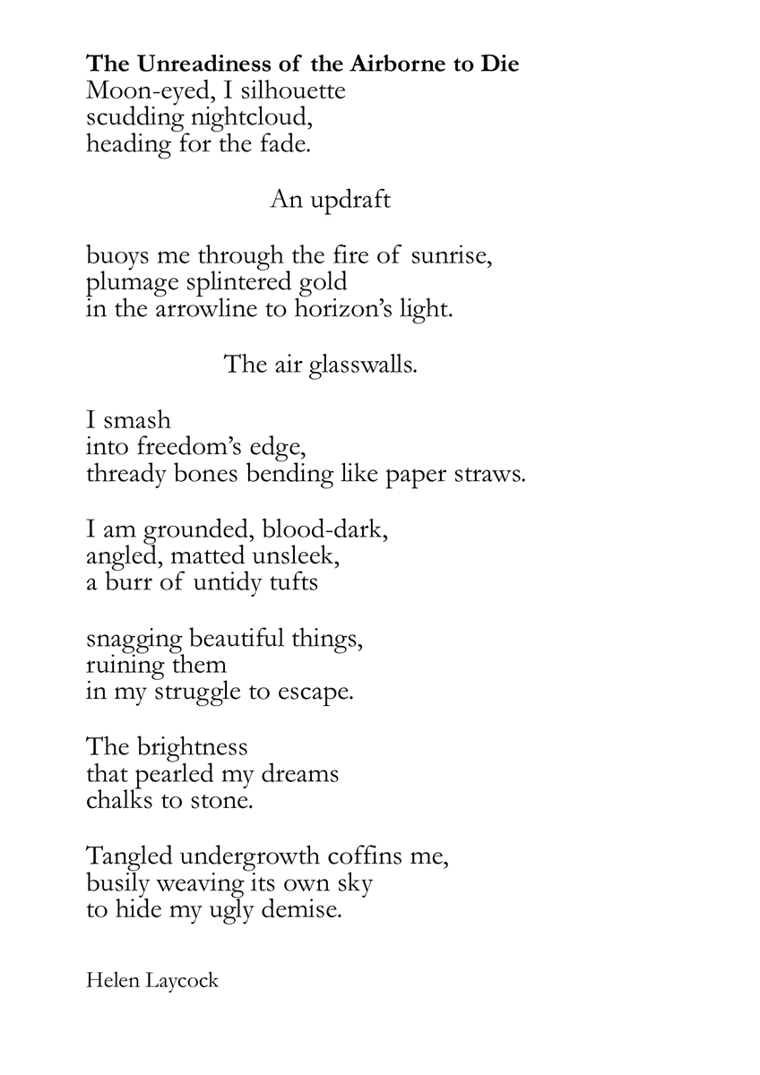 Helen Laycock, Writer ✍ tweet media