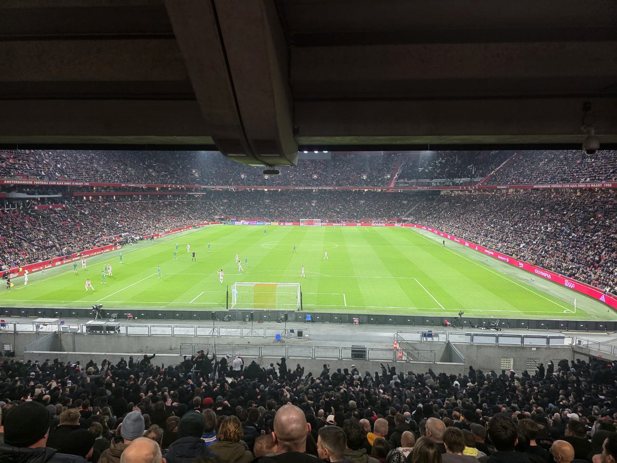 TheRogueWolfpack🤬 tweet media