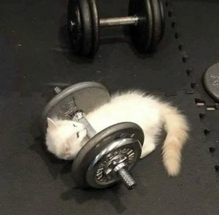 volví al gym¡ Pidan un deseo