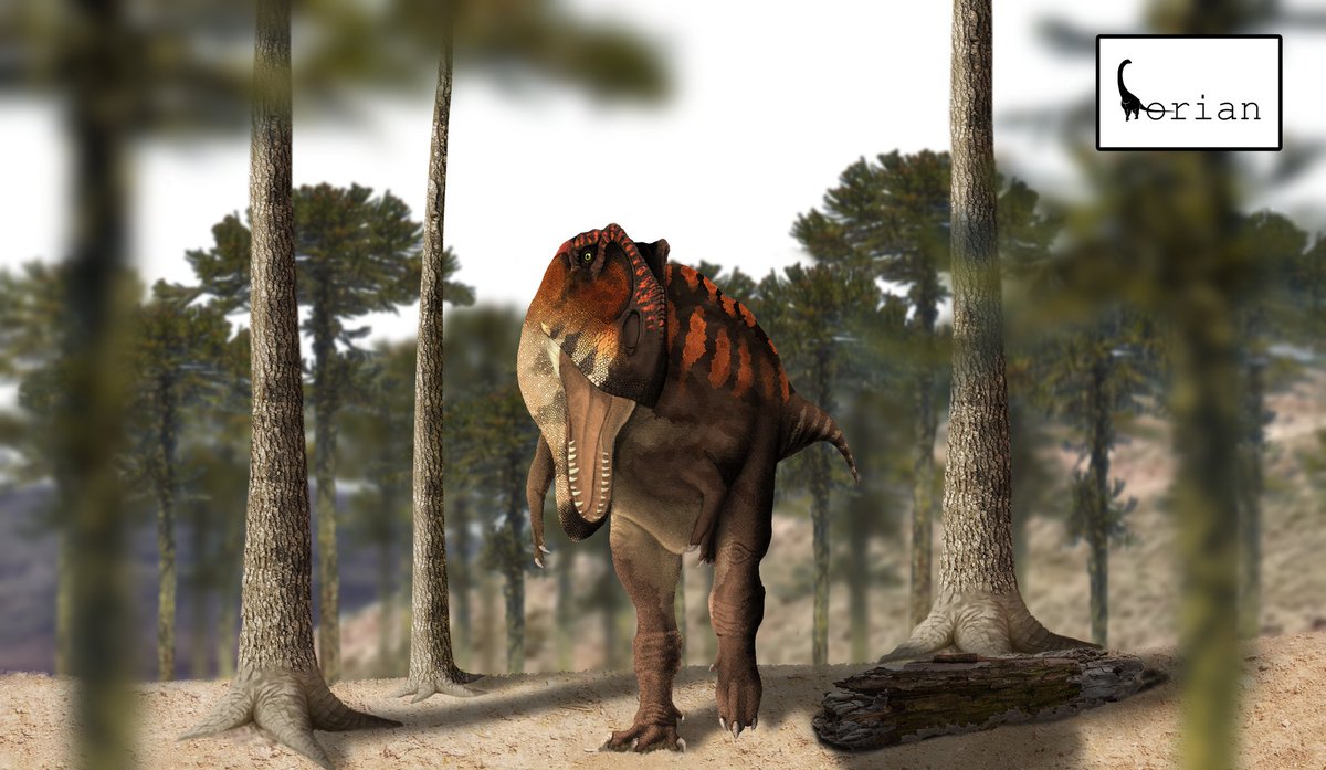 Giganotosaurus commission.

For a very promising figure project