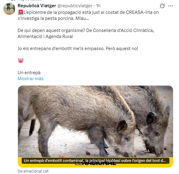 AdricatBcn's tweet photo. @josepalay Laboratori IRTA CREASA a Bellaterra,Cerdanyola, Centre d'Investigació  Salut Animal....al costat d'on van apareixer morts els Porcs Senglars...però els Polítics/Medias et diràn/repetiran q és un Entrepà contaminat..Ens segueixen tractan com Idiotes..Com amb el Pangolí i la Covid. https://t.co/GKqHZQ7yll