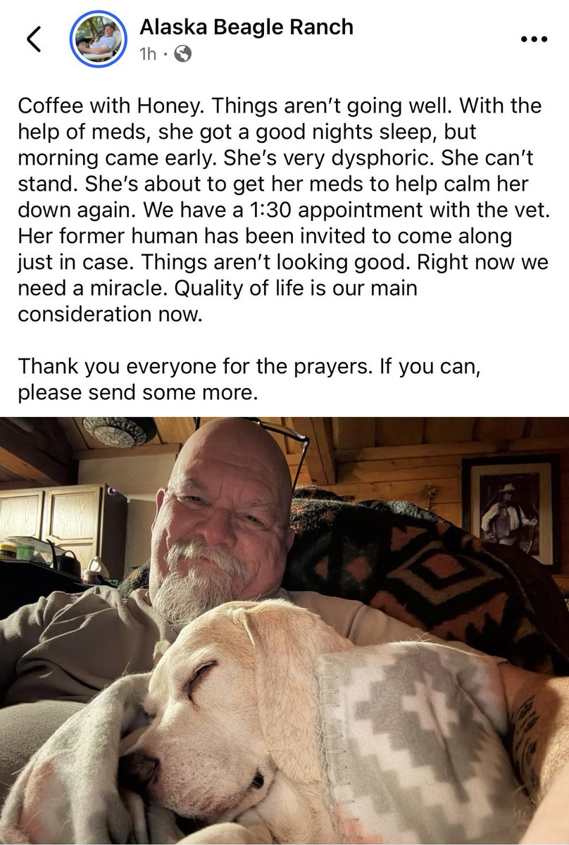 Paws 🐾 in for some major prayers for Honey