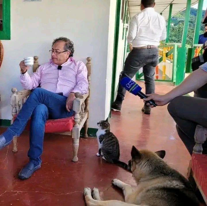 LeoncioDeTal's tweet photo. Yo, el 1 de enero de 2026 a las 06:00 en el patio de una casa ajena https://t.co/Zfceqv3nFT