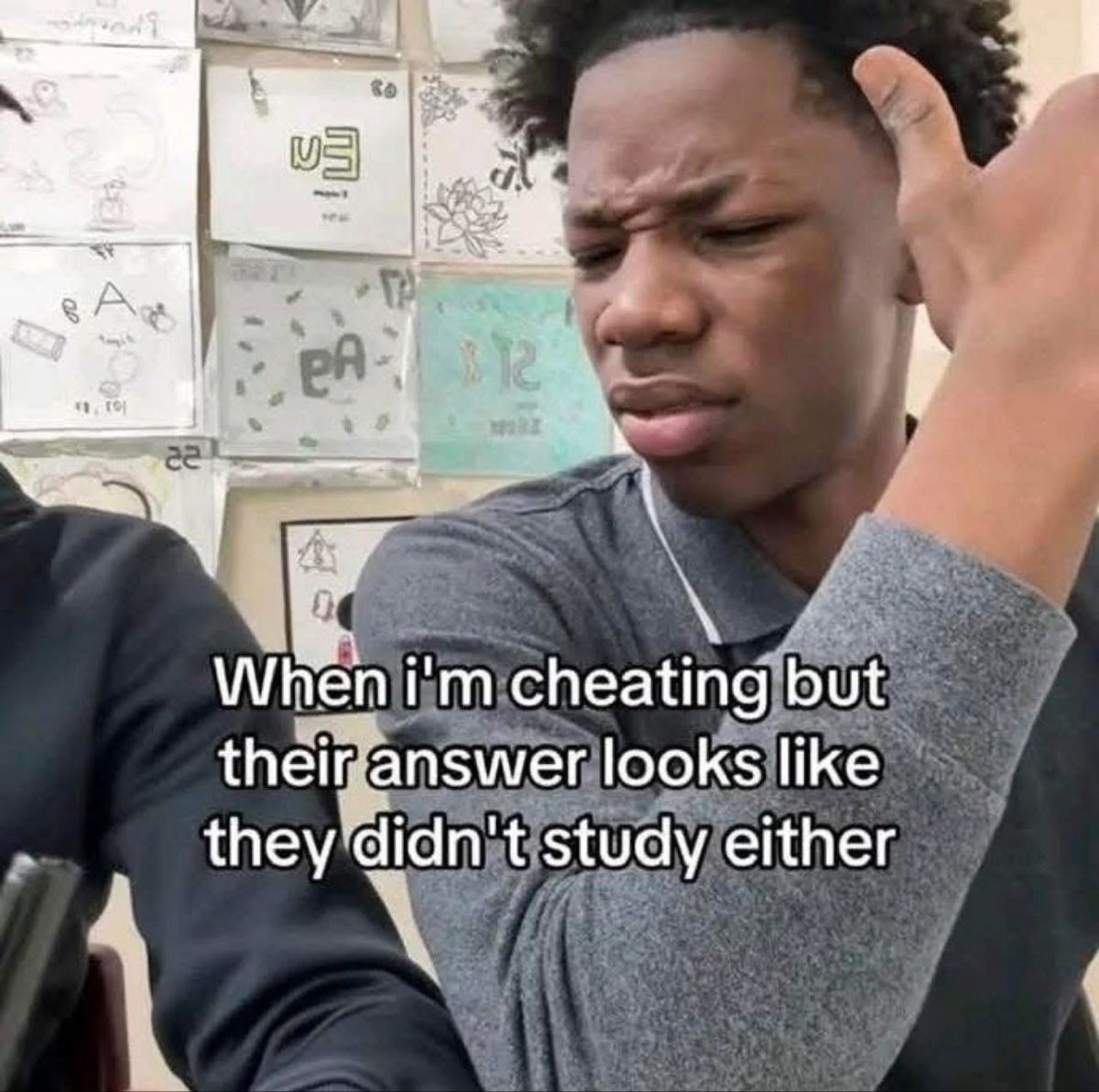 Wild TikToks (@wildtiktokss) on Twitter photo 