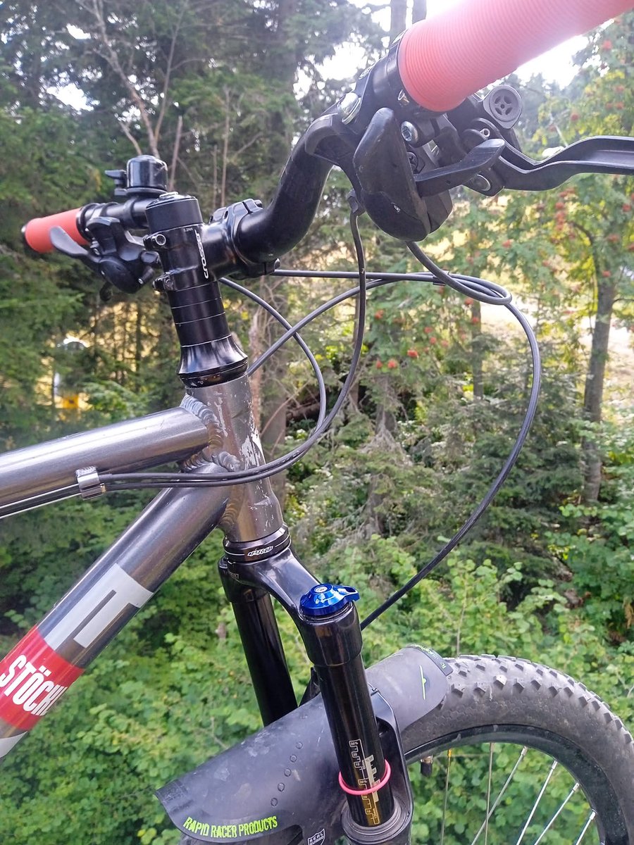 Лека Партийна Жена° tweet media