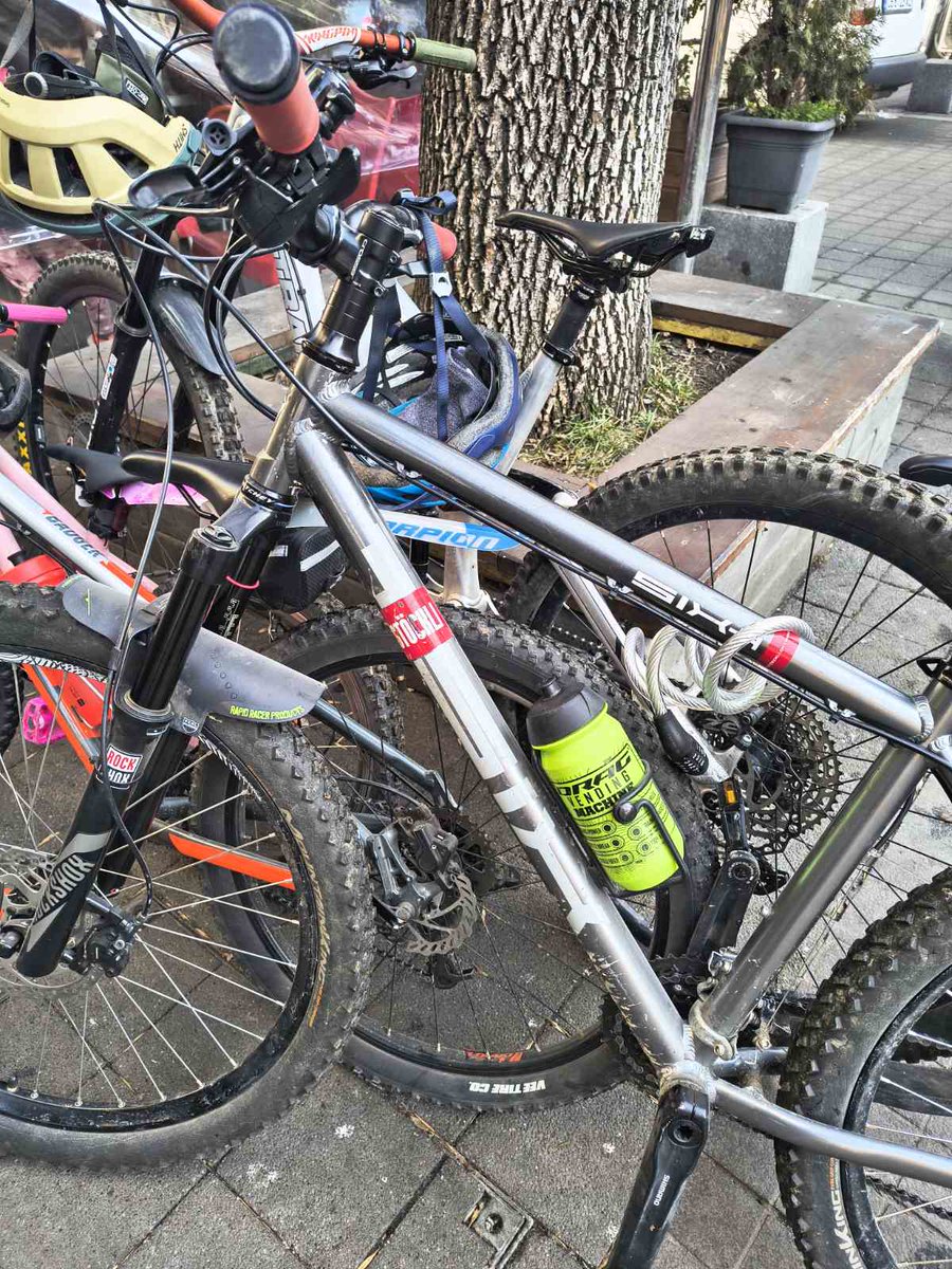 Лека Партийна Жена° tweet media