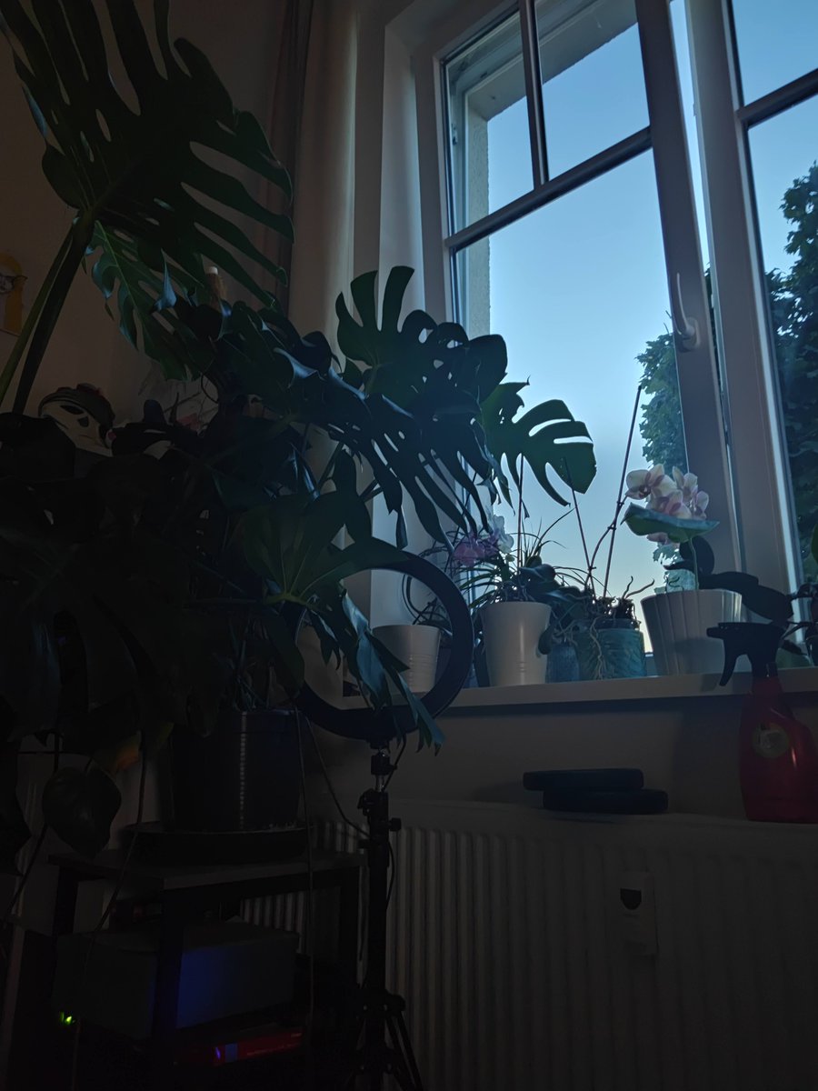 Hab gerade mal nach Bildern von meinem Zimmer im Studi Wohnheim gesucht und hab nur die gefunden, aber im Vergleich hab ich ja im Luxus gelebt 😭😭 Bitte mach es dir so cozy wie es nur geht!