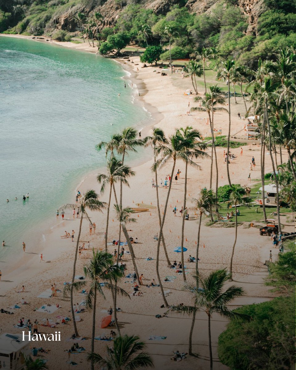 Top World Rank tweet media