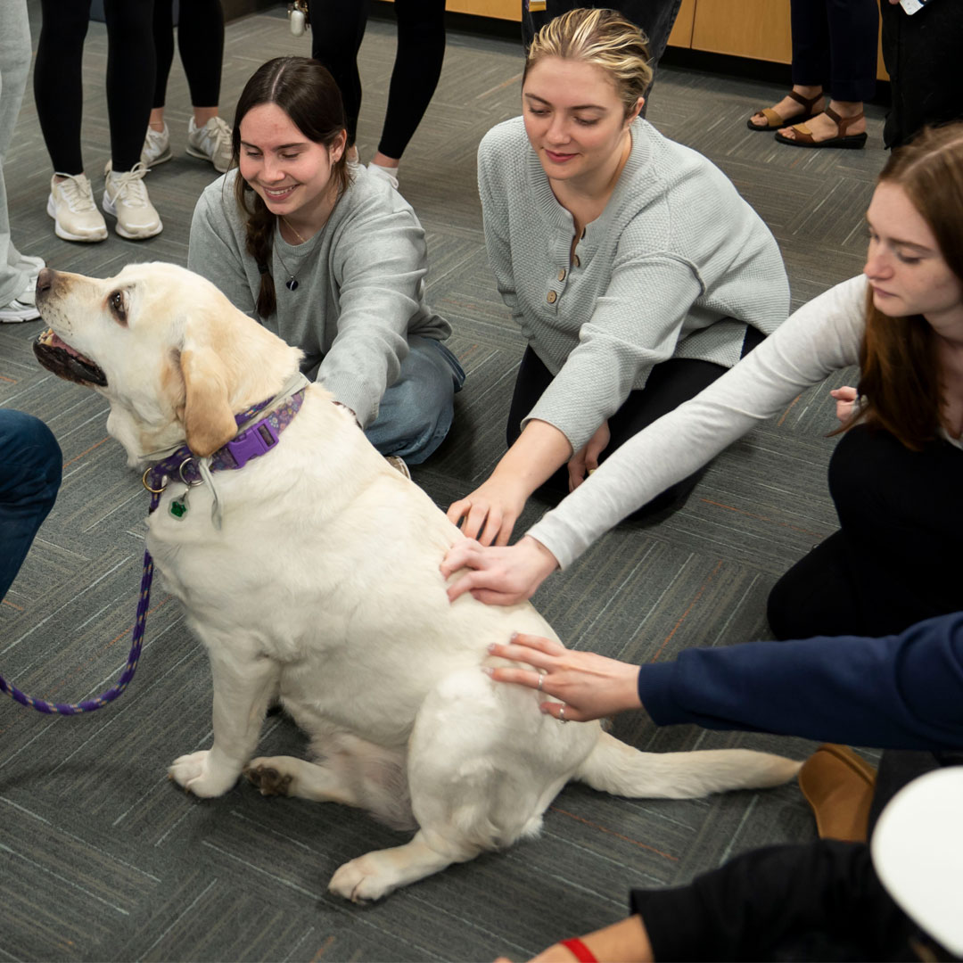 University at Buffalo Libraries tweet media