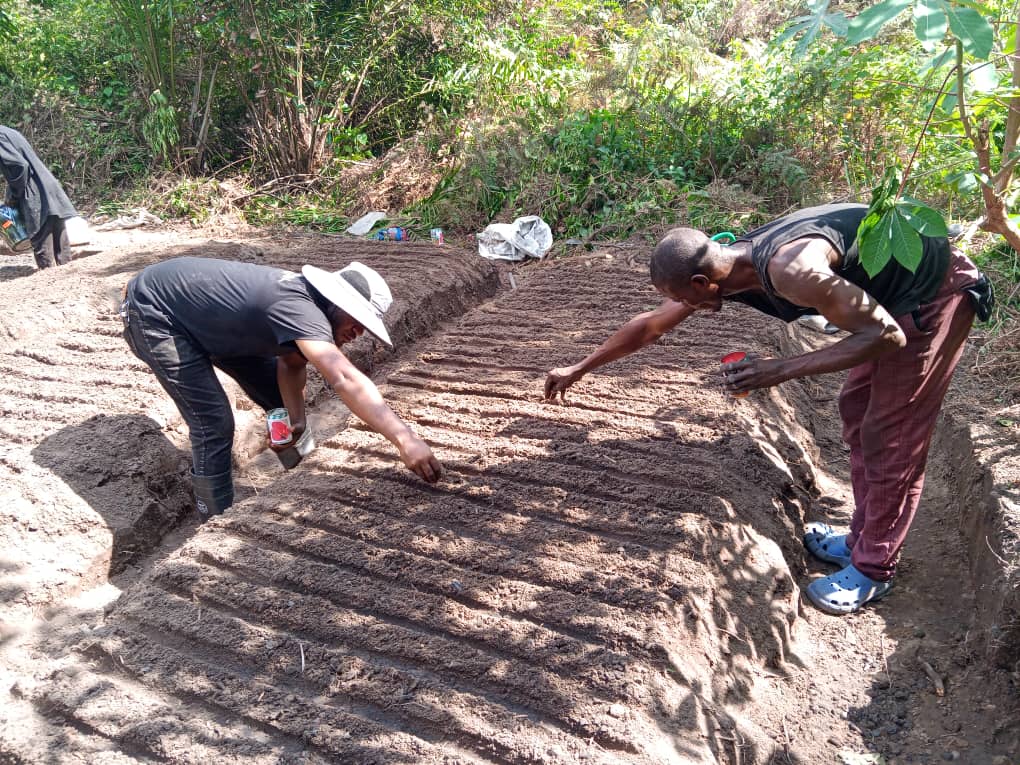 Bornagues🇨🇩Kubakidi tweet media