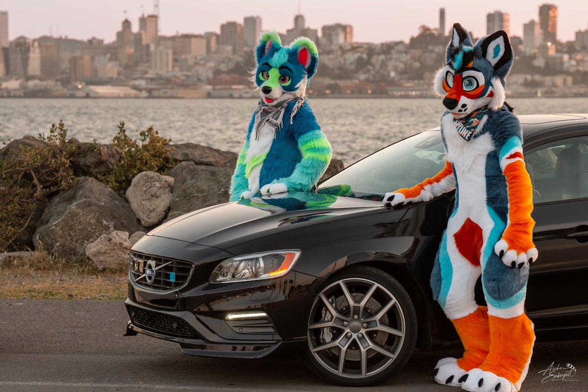 Think you're quick enough to catch us? 😉

🔶️🔷️ <a href="/SkylineYote/">Skyline</a>
📸 <a href="/ArcherEmberpelt/">Archer 🔜 MFF</a>
