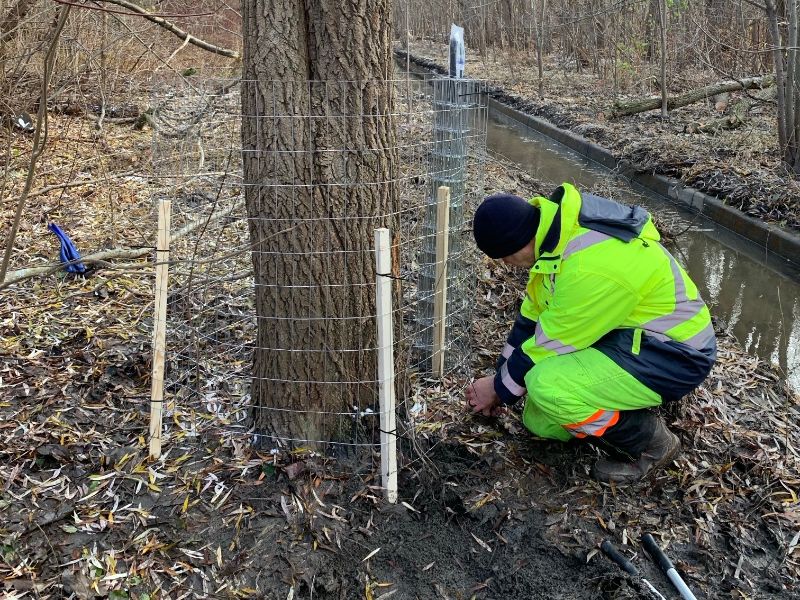 Sue's eNews | December 2025 eNewsletter - mailchi.mp/7c0bdd58ca68/s…