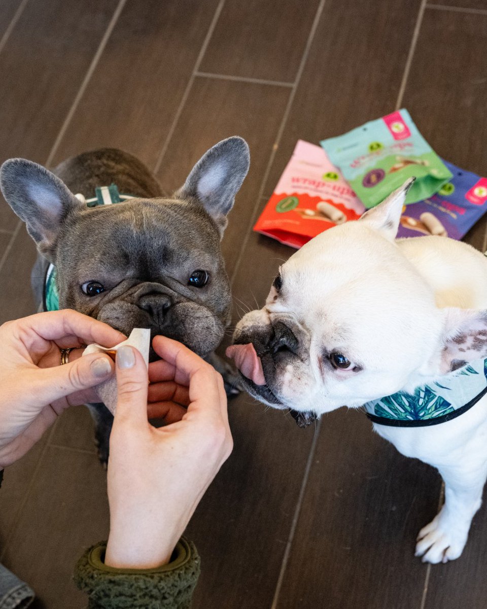 We hope you all had a fantastic Thanksgiving weekend! 🦃 

Don't forget - Stashios Black Friday sale ends TONIGHT! 💚