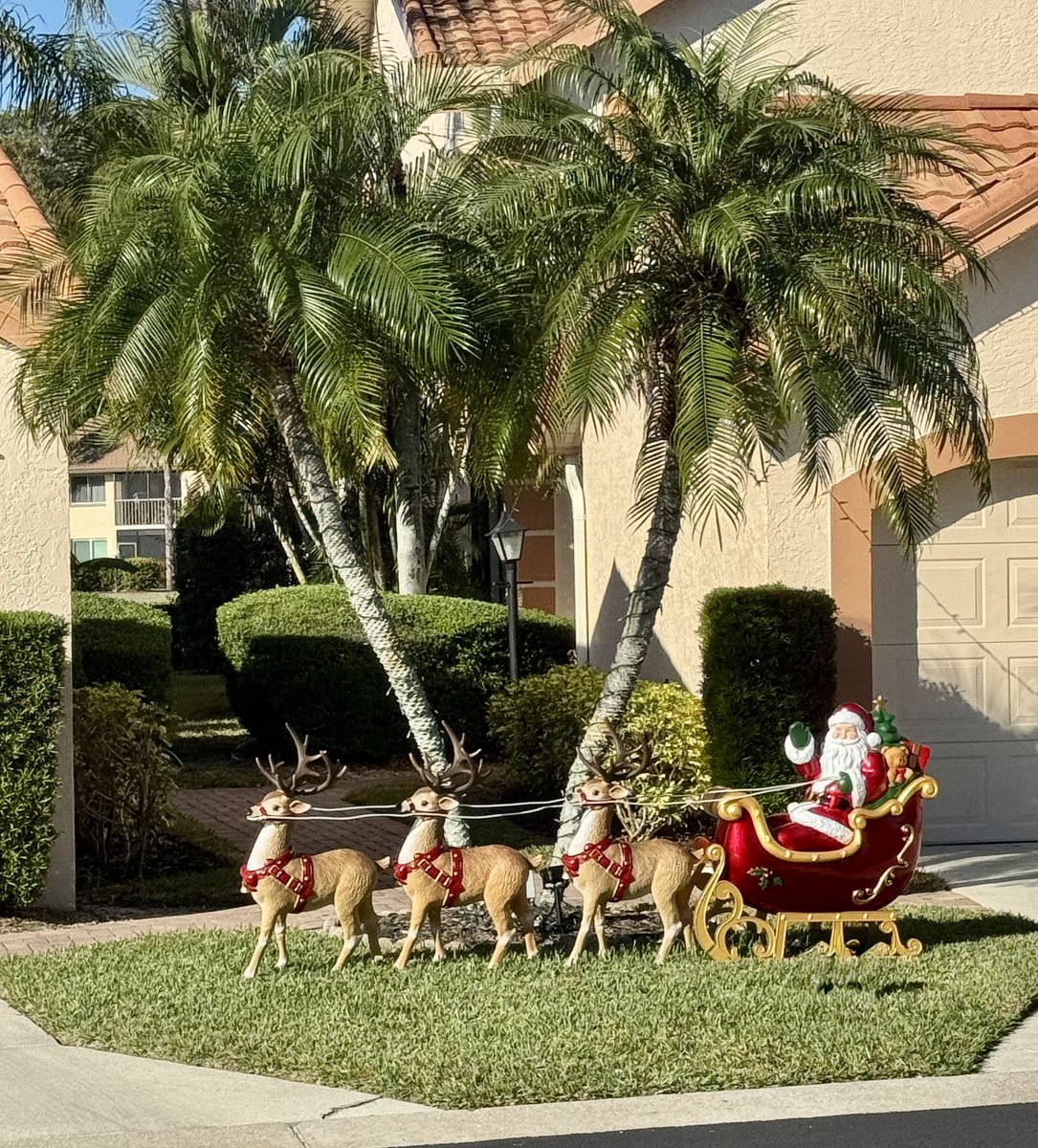 You can have that Christmas feeling and enjoy palm trees &amp; warm temps.
#christmas #florida #sunshine