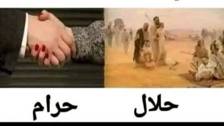 شركة مكافحة الحشرات والناموس والموروث (@wael51551733) on Twitter photo 