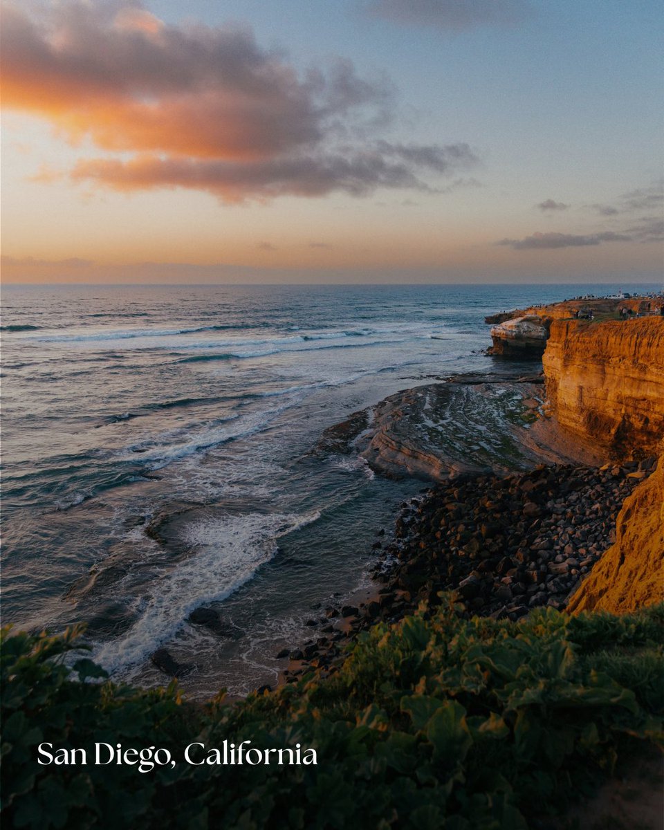 Top World Rank tweet media