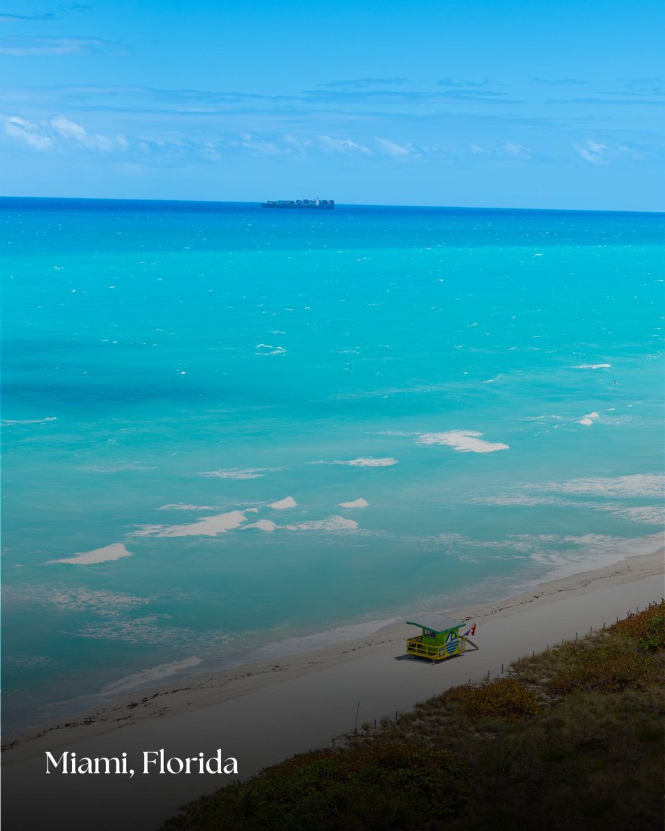 Top World Rank tweet media