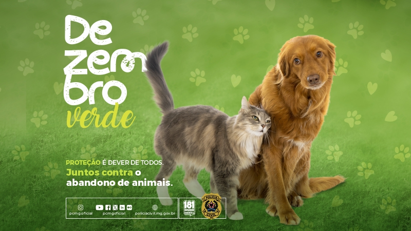 pcmgoficial's tweet image. DEZEMBRO VERDE: mês de conscientização contra o abandono e os maus-tratos aos animais. #PCMG alerta que proteger é responsabilidade de todos nós! Abandonar é crime! Denuncie: presencialmente na Polícia Civil ou PM, ou anonimamente pelo 181. Em BH: Delegacia Especializada de +
