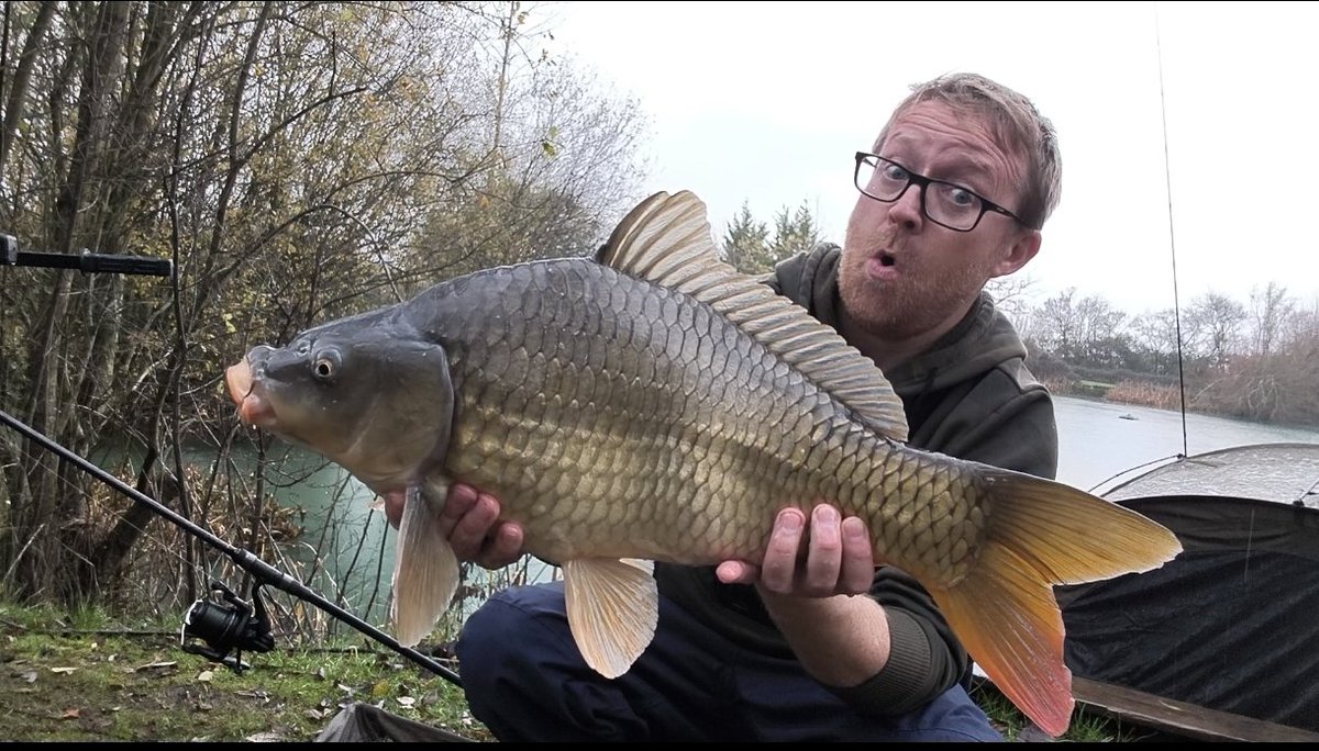 SiFishes's tweet photo. They are still catchable in this colder weather!! 
#sifishes #carpfishing #angling #fisherman https://t.co/yI7GdIa1nr
