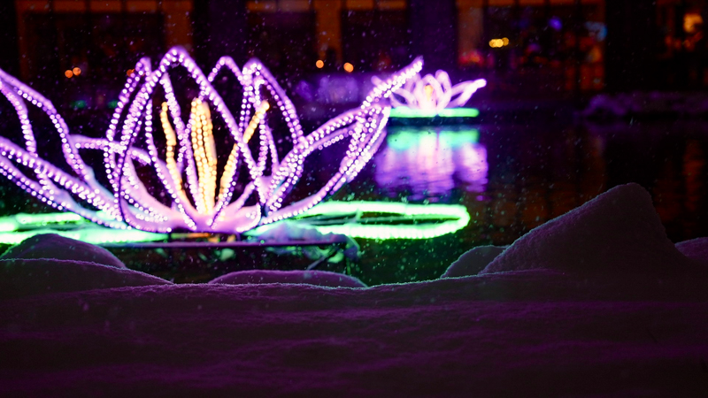 Bundle up and ring in the holiday season with Topeka Zoo Lights