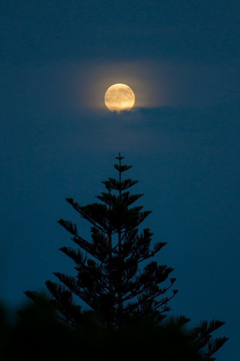 yoga_and_more's tweet image. Ich wünsche euch allen von ganzem Herzen ❤ einen wunderschönen Abend 🌛 😊 😊 😊 und später dann eine gute 💫 Nacht 💫 🌠 🌠 🌠 mit schönen Träumen ☄️ 🌛 💫 🌠 🌠 🌠