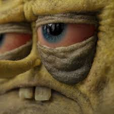 SpongeBob Fans tweet media