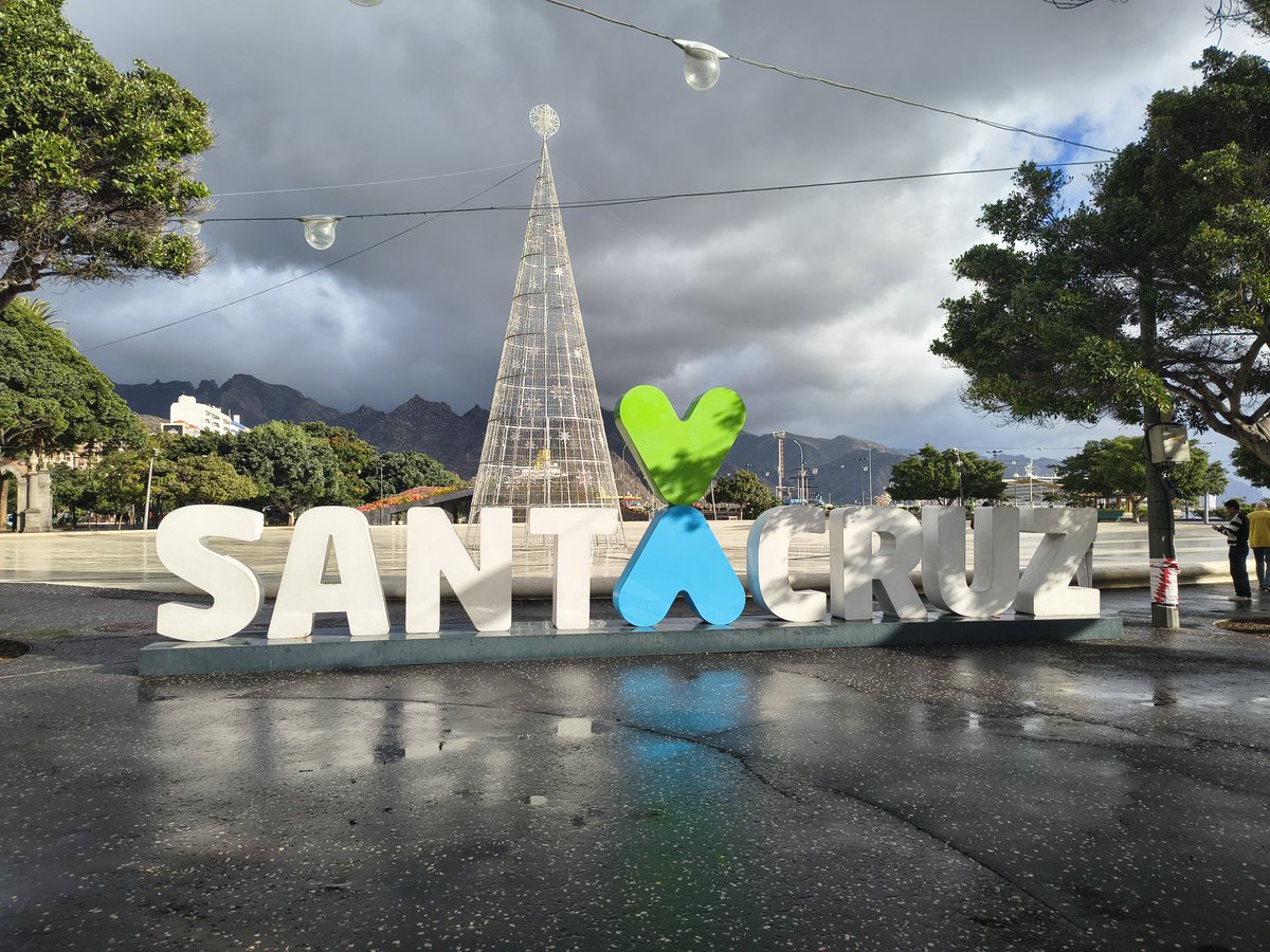 Frank Mortensen tweet media