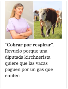 Mercedes Palacio tweet media