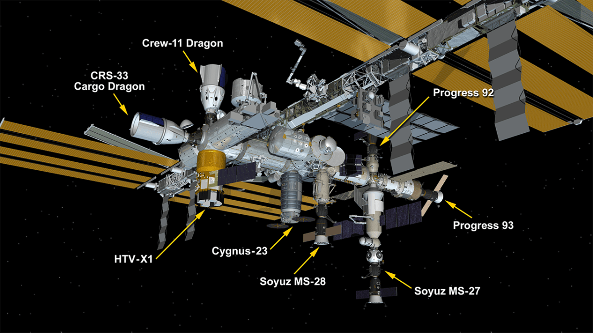 ISS Mimic tweet media