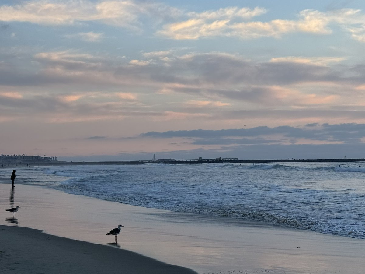 童话照进了现实