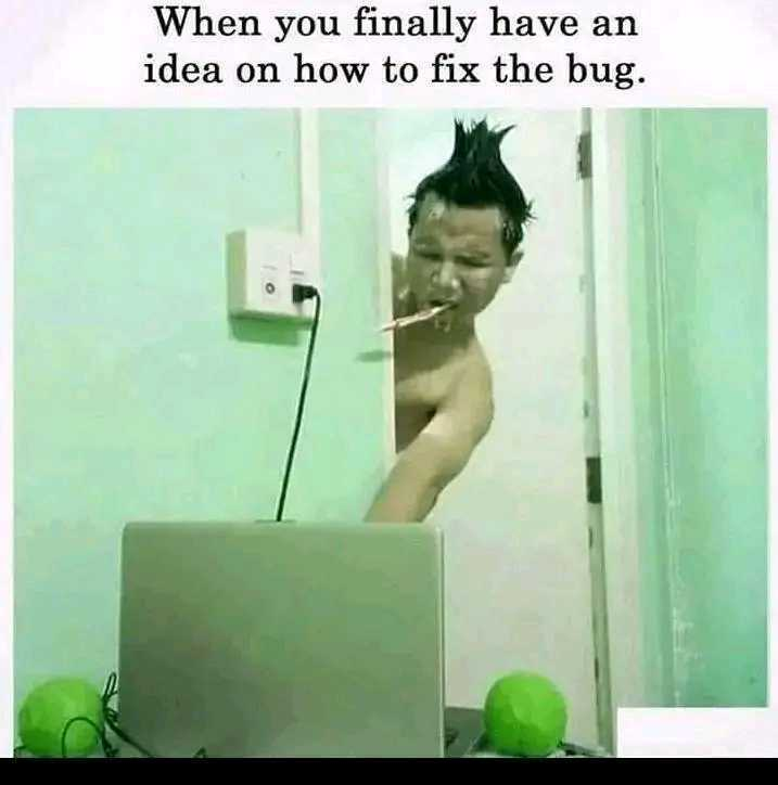 Programmer Humor tweet media