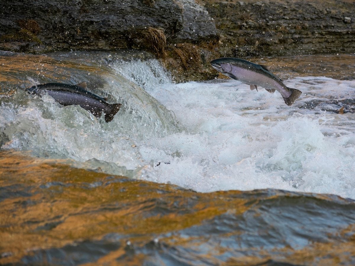 GetReworked's tweet image. To Fix AI Governance, Stop Building It Backwards reworked.co/digital-workpl… #AIGovernance #DataStrategy