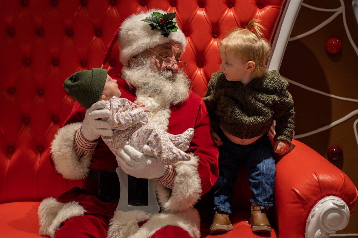 Philly Holiday Tree tweet media