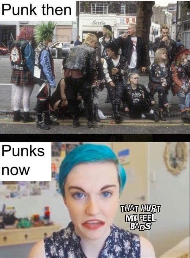 terfpunks's tweet image. 