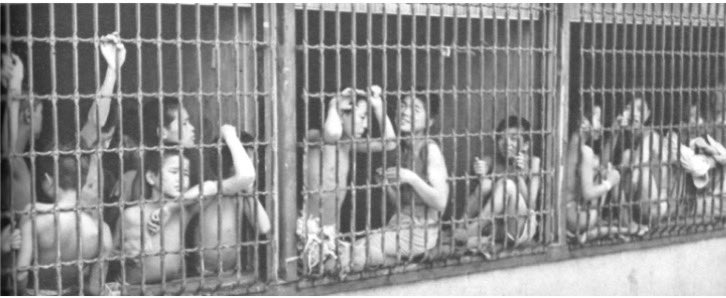 8YwGruLKqnZJBun's tweet image. 戦中は父親が戦死した子供達は『靖国の遺児』と呼ばれ、社会から特別待遇されていたが、敗戦後は、GHQの『恫喝』もあってか、一転して『浮浪児』扱いにしました。『狩り込み』と称して強制収容を行い、戦災孤児を野犬の様に檻に収監。…