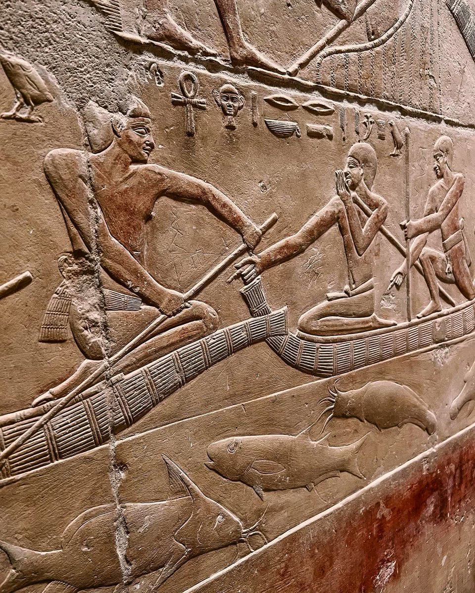 EgyptEels's tweet photo. https://t.co/TKjvJac65l