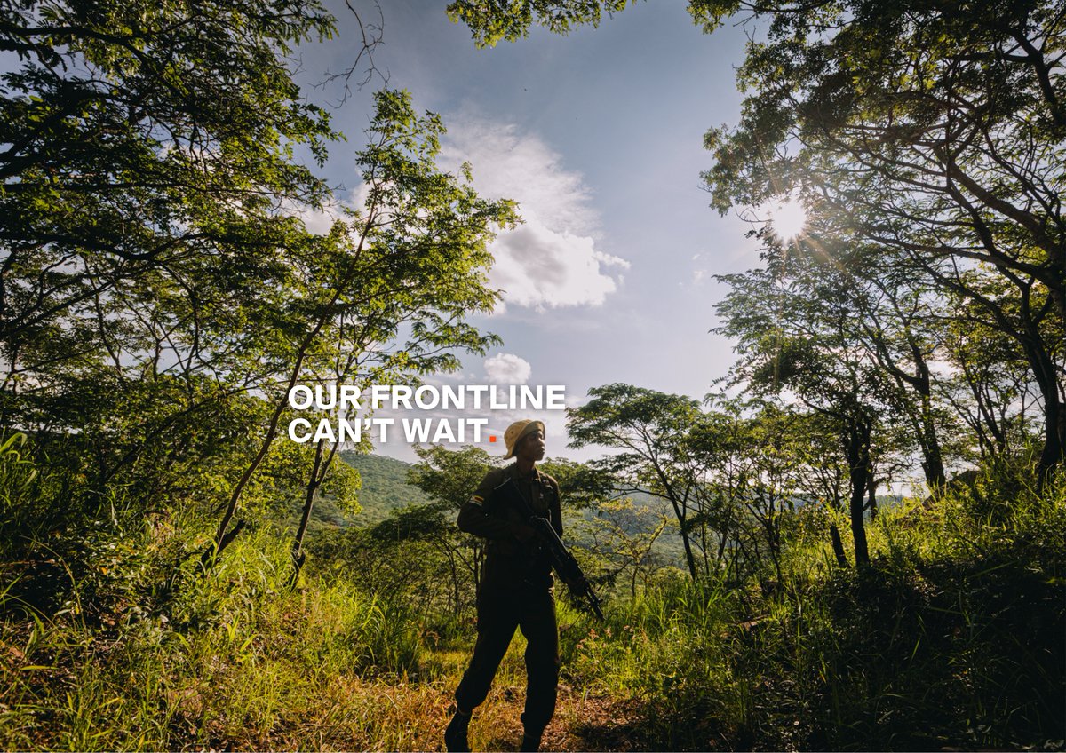 Akashinga tweet media