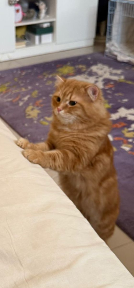 أستاذة/Dalal.Alowaied tweet media