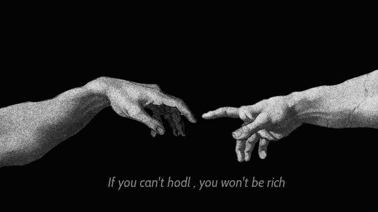 Hodl tweet media