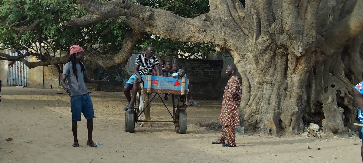 Hem fet una nova tanda d'instal·lació de triangles de senyalització de carretes, evitant així accidents de trànsit. Han estat 60 carretes del poble de Ngalou. Gràcies a la feina dels voluntaris de la Fundació i el suport de Nàutica Colomí i Recambios Marinos.