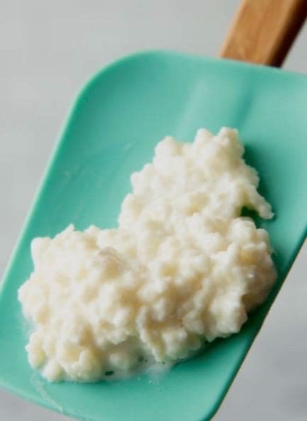 yellowlemon111's tweet photo. https://t.co/RcDfsdOrIM Live active kefir grains sold here. #guthealth #probiotic #glowingskin https://t.co/FiKNJ7kRhk