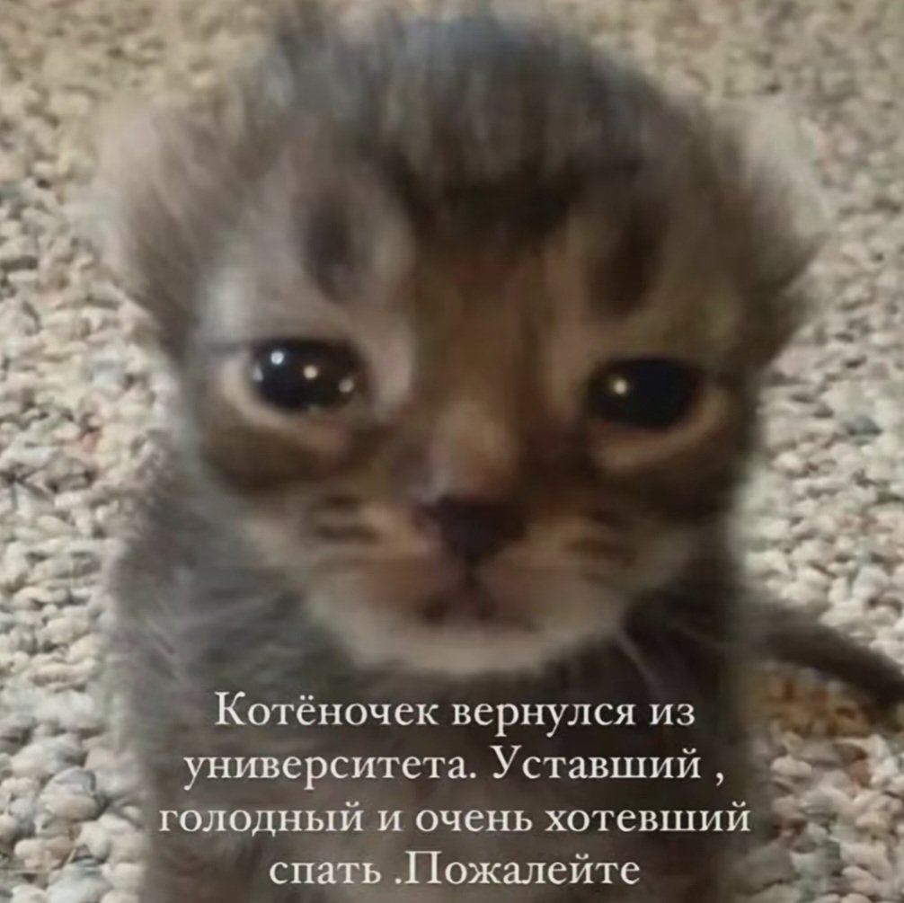 Внимание, игра! Найдите между картинками хотя бы несколько отличий.