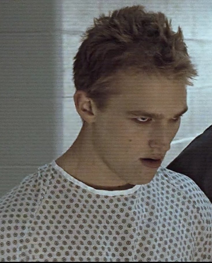 грызу стол бегаю по потолку—