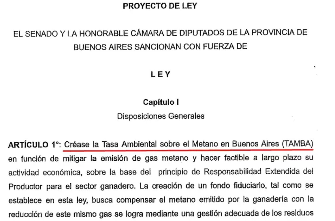 ¿Impuesto al pedo de la vaca?
Propongo cobrarles a los peronistas un impuesto confiscatorio e imprescriptible por haber hecho mierda a la Argentina.
