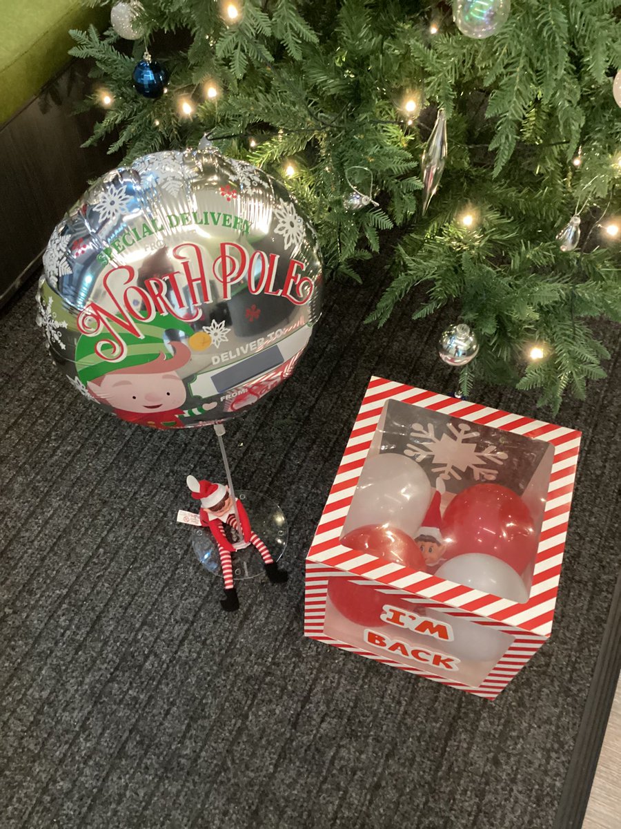 It’s beginning to look a lot like Christmas …