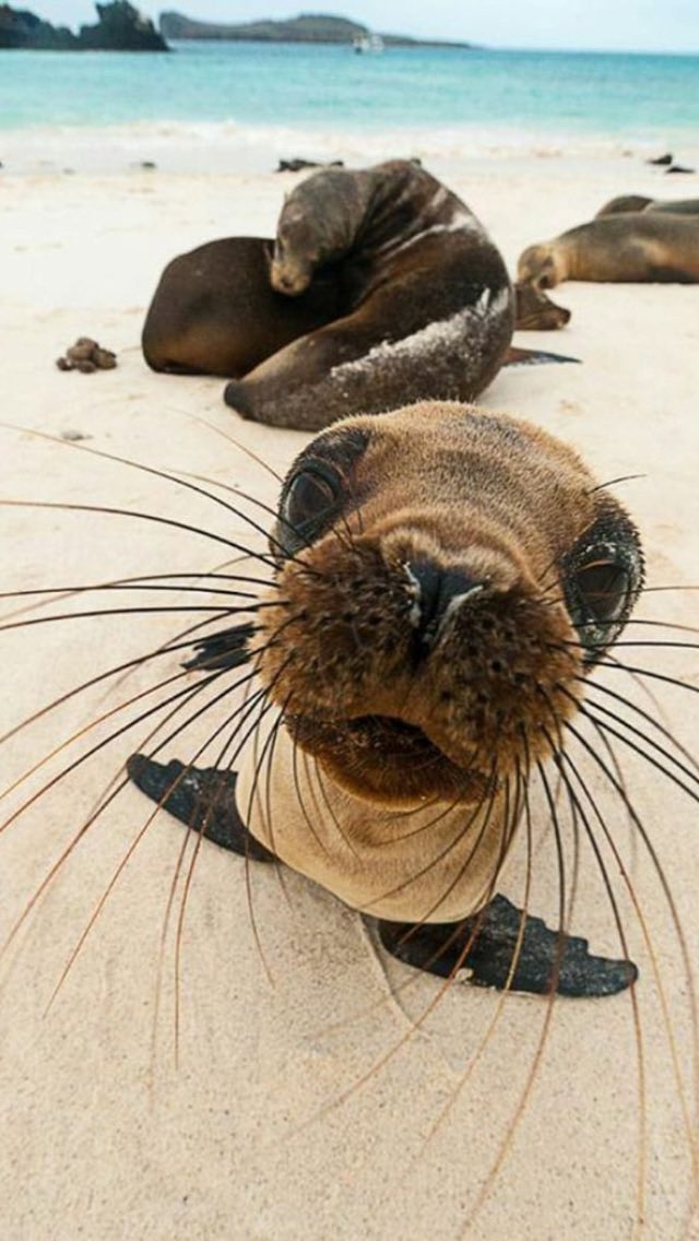 _kim_mi_yong's tweet image. мої мʼю!! мене в універі змушують писати ще один курсач(я його потім ще й для диплому юзну😋)
тож якщо ви вчитесь або вчилися в універ(бо така ЦА) допоможіть, будь ласка🥹🥹 пройдіть опитування для мого дослідження 🫶🏻🫶🏻 це займе ~15 хвилинок, ЛЮБЛЮ!🥰

🖇️: docs.google.com/forms/d/e/1FAI…