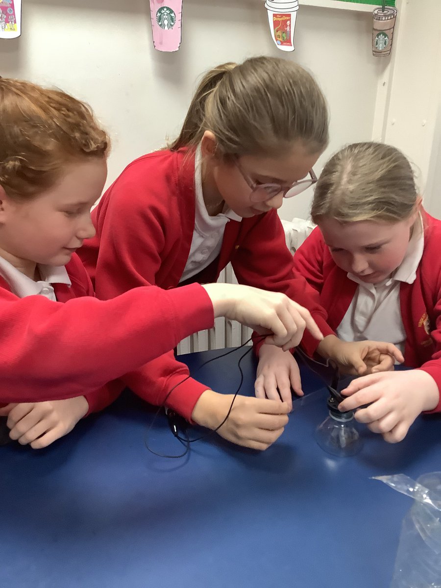 Y4HAS's tweet photo. Year 4 built torches in DT! We use our knowledge from science to build our circuit! Well done year 4! 🔦 https://t.co/huxEeJFk4U